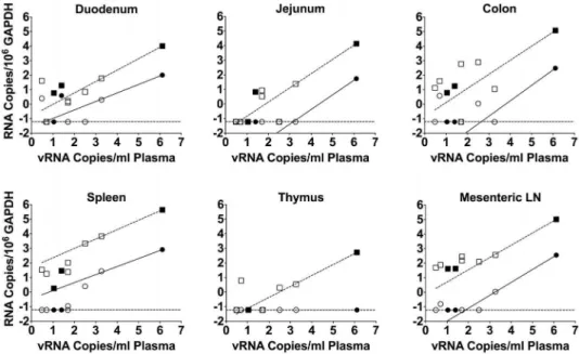 Figure 4. Ratio of MS mRNA to gag RNA in gastrointestinal tissues. The ratios of the MS transcript to gag RNA in duodenum, jejunum, and colon were calculated in order to determine whether there was an abundance of MS mRNA in tissues from macaques treated w