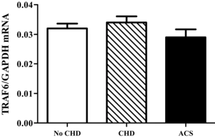 Figure 8. TRAF6 expression in blood does not associate with acute or chronic coronary heart disease