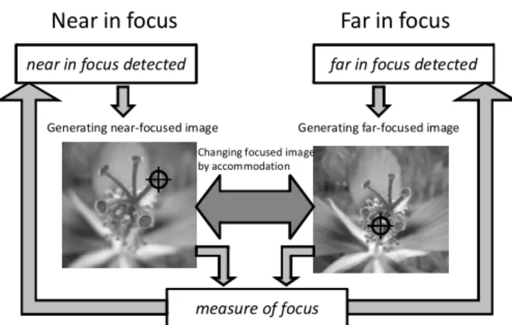 Fig. 1 Flow of generating focused image 
