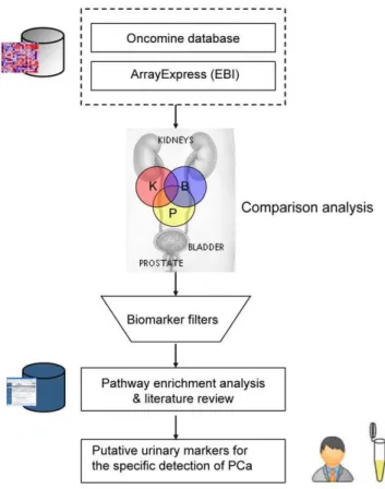 Figure 1. Workflow of integrative mining from public cancer genomic profiles for discovery of putative urinary marker for the specific detection of PCa
