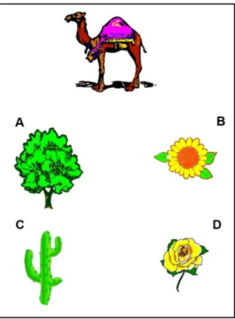 Figura 5  –  Exemplo de uma prancha original do teste Camelos e Cactos 