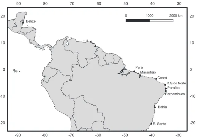 Fig 1. Map of collection locations for the present study. Distribution of the localities on the coast of Brazil from which the Ocyurus chrysurus specimens were collected for the present study, as well as location of Belize, previously sampled by Vasconcell