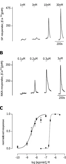 Figure 1. Substance P and Neurokinin A induce Ca 2+ -responses in mouse taste cells. A, Representative Ca 2+ trace from a substance P (SP) responsive taste cell stimulated with 1,3, 10, and 30 nM SP