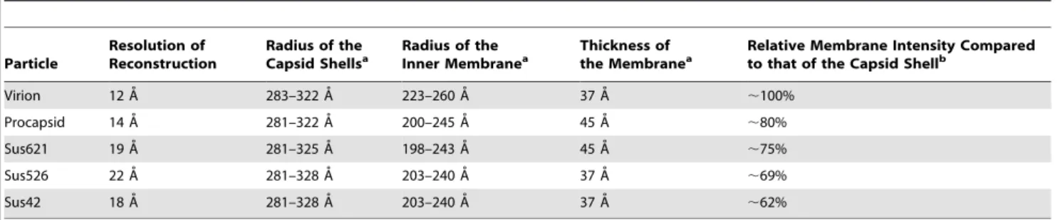 Table 2. Properties of reconstructions of virion, procapsid, and mutant particles of PRD1.