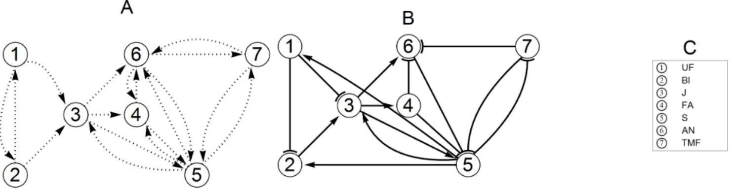 Figure 1. Initial and final networks. The network in panel A shows the set of potential edges to start with