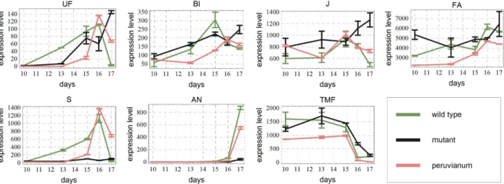 Figure 2. Original data. Expression levels in a.u. for the three genotypes used in this paper as a function of time