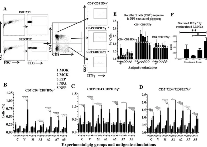 Fig 2. Immunophenotyping of activated lymphocyte subsets in LMNCs of vaccinated and SwIV challenged pigs
