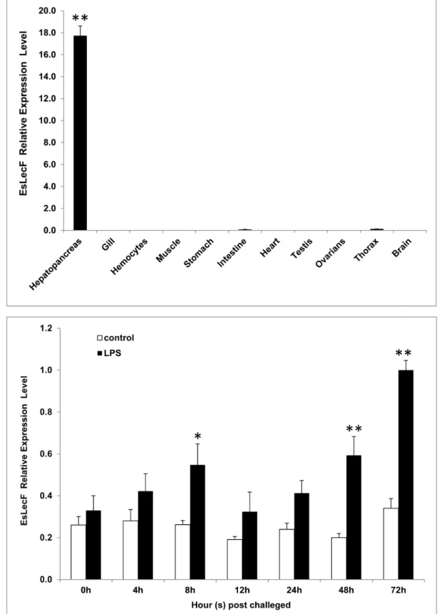 Figure 2. Temporal mRNA expressions of EsLecF in various tissues (black bars) (A) or in the hepatopancreas in response to LPS challenge (B)