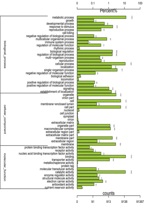 Fig 1. Histogram presentation of Gene Ontology classifications. The results are summarized in three main categories: biological processes, cellular components, and molecular functions
