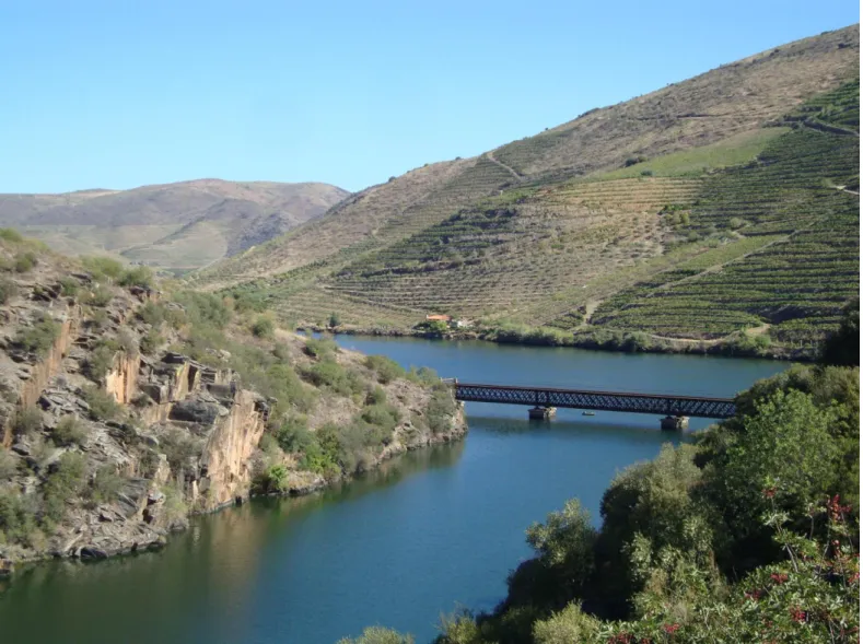 Fig.  4.5.1.  Schist  outcrops  (on  the  left)  are  a  distinctive  feature  of  the  landscape  in  certain  areas  of  the  Upper  Douro  region