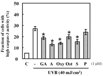 Figure 3. Effects of HSP70-inducing agents on caspase-3 activity in UVB-exposed cells