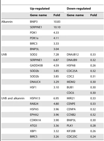 Table 1. Genes up- or down-regulated in HaCaT cells.