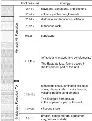 Fig. 2. Basic stratigraphic column of the Monarch Mill and Middlegate for- for-mations showing the dominant lithologies (modified from Axelrod 1956)