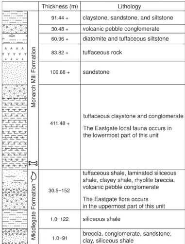 Fig. 2. Basic stratigraphic column of the Monarch Mill and Middlegate for- for-mations showing the dominant lithologies (modified from Axelrod 1956)