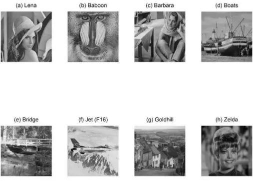 Figure 2. Eight grayscale images  256 256  pixels in size.