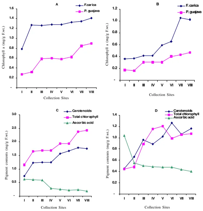 Fig.  3:  A  and  B.  Chlorophyll  (a  &amp;  b)  contents  of F.  carica and P.  guajava,  C  &amp;  D  Ascorbic  acid,  Carotenoids  and  Total chlorophyll  contents  of F