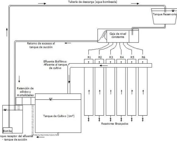 Figure 1. Frontal view of RAS and components. Source: This investigation.
