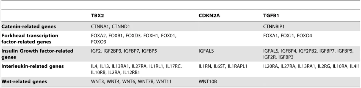 Table 6. Several aging-related genes are statistically linked to the expressions of TBX2, CDKN2A, and TGFB1.