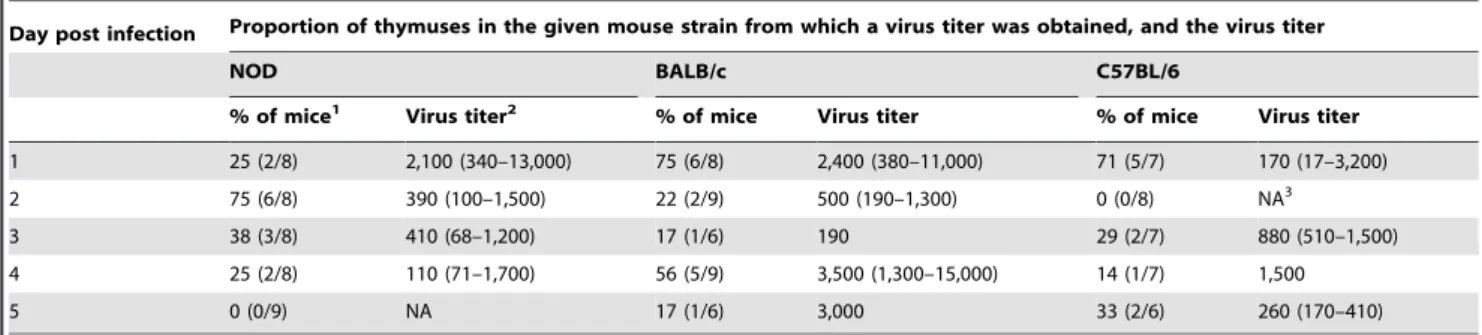 Figure 4. Identification of macrophages as the RRV-infected cells in the thymus, and their location