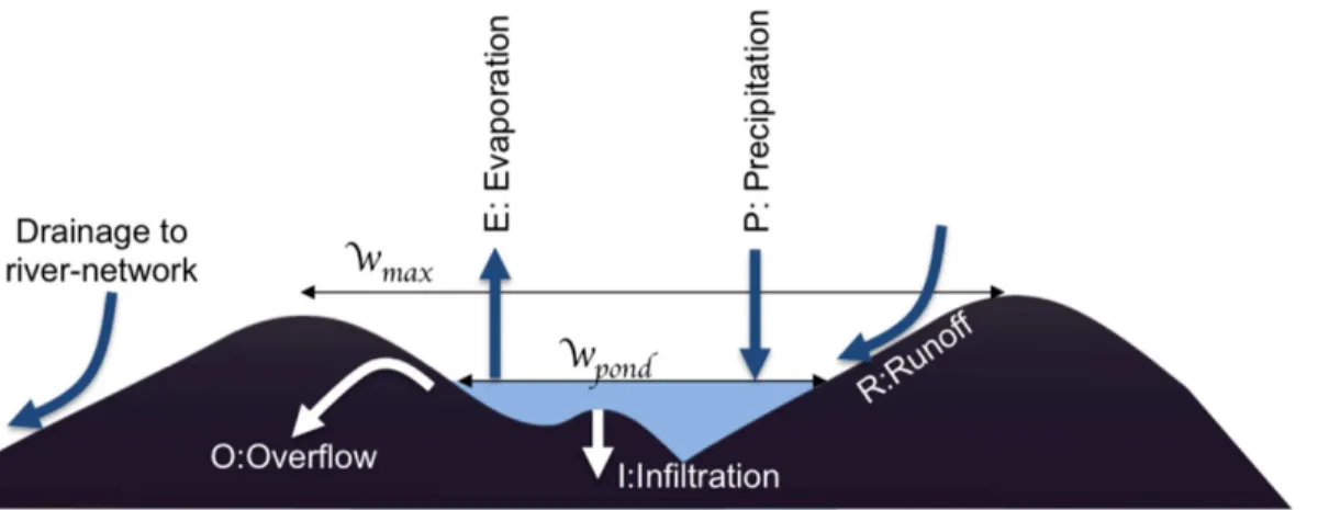 Fig 1. Schematic of the modified hydrology scheme adapted from Asare et al. [48]. Precipitation (P) is assumed to fall homogeneously across the grid- grid-cell