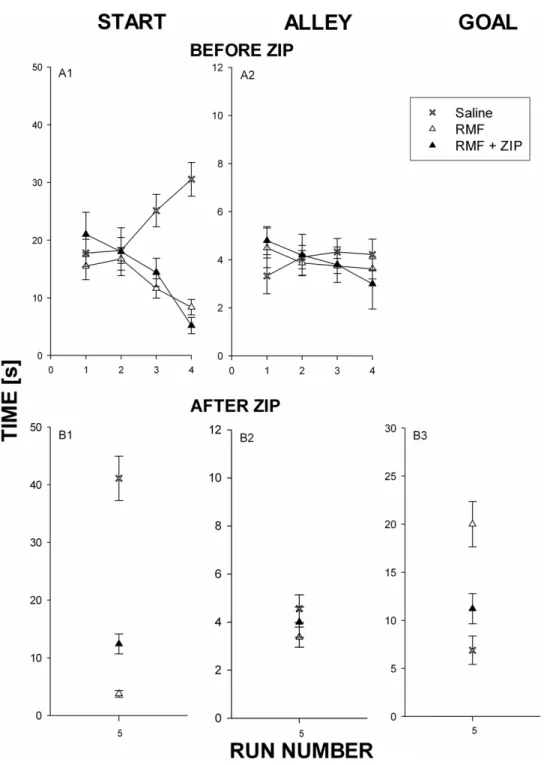 Figure 1. Local intra-AcbC inhibition of PKC/Mzeta the retrieval of conditioned remifentanil approach-associated memories