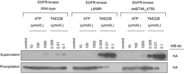 Fig 2. The binding affinity of TAE226 to EGFR kinases. A) common EGFR mutant kinases and B) T790M containing EGFR mutant kinases