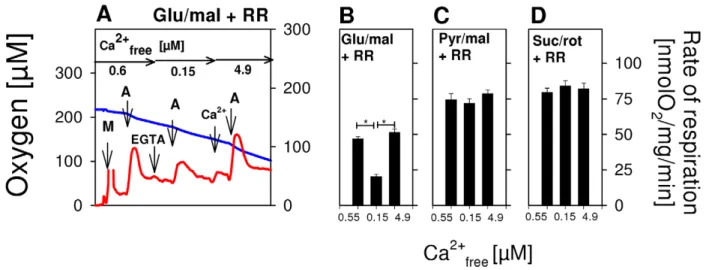 Figure 2. Exclusive and reversible activation of glutamate-dependent respiration by extramitochondrial Ca 2+ at low levels of ADP.