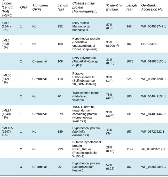 Table 3. Characteristics of the identified clones and their DNA fragments  