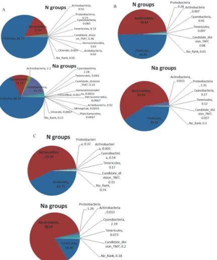 Figure 3. Comparison of small intestine (A), cecum (B) and colon (C) microbiota at phylum level.
