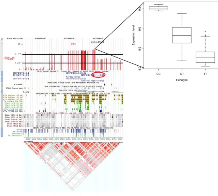Figure 3. Examples of cis- Associations from the Genome-Wide and High-Density SNP Maps