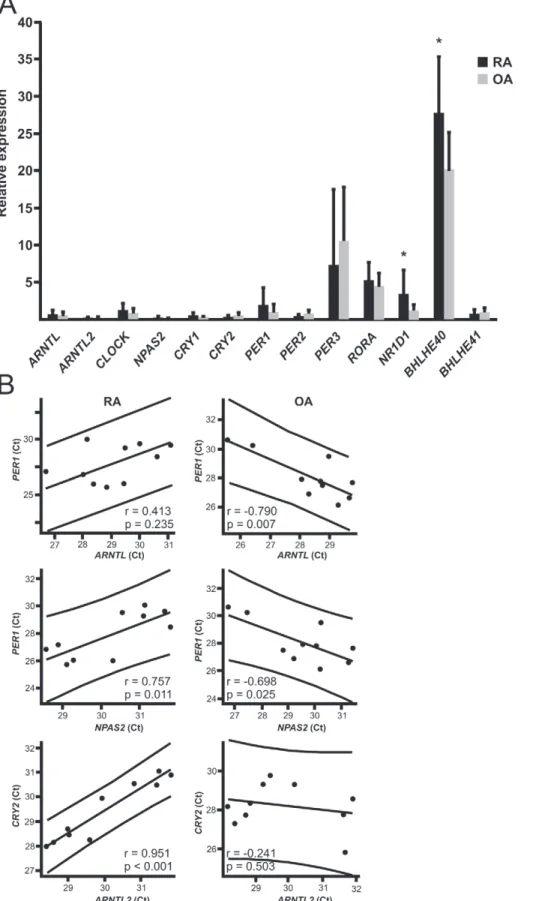 Figure 1. The expression of circadian genes in RA and OA patients. A. Synovial membrane samples were collected from RA and OA patients (n = 10 for each) and analyzed for circadian gene expression