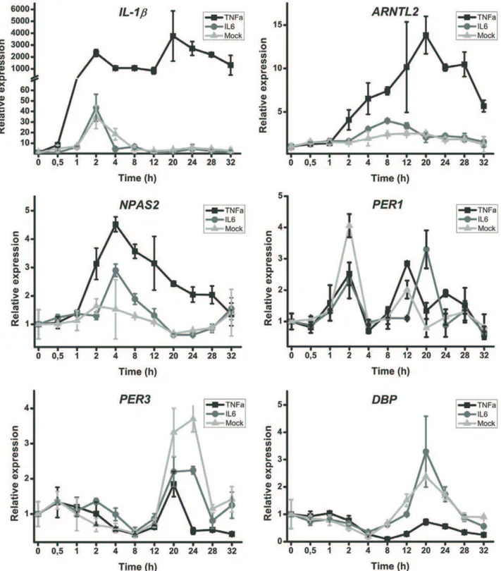 Figure 5. TNF- a increased ARNTL2 and NPAS2 , and suppresses PER3 and DBP expression but IL-6 did not