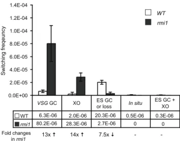 Figure 4. TbRMI1 monitors VSG recombination. TbRMI1 deficien- deficien-cy increases VSG GC and crossover (XO) but decreases ES GC