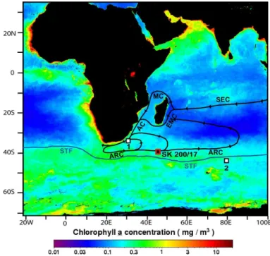 Fig. 1. The location of core SK 200/17 is marked with a black filled square. The surface circula- circula-tion in this region, which includes South Equatorial Current (SEC), Mozambique Channel (MC), East Madagascar Current (EMC), Agulhas Current (AC) and A