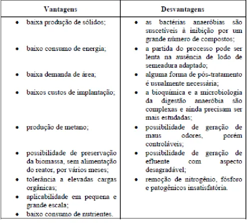 Tabela 4 - Vantagens e desvantagens da DA [17] 