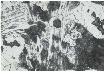 Fig. 4. The microstructure of cast iron from the melt No. 2,   etched with Nital, magn