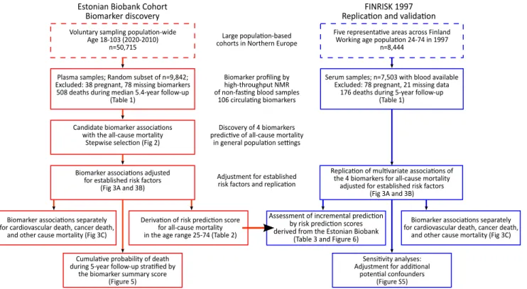 Figure 1. Study flow chart. Overview of the study design and analyses performed for biomarker discovery and validation of the risk prediction model.