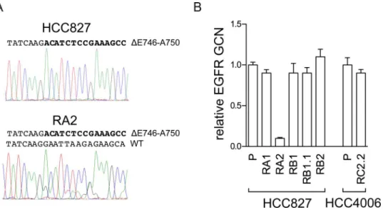Fig 3. Analysis of the EGFR gene in the RA2 ERL-resistant cell line. A) Analysis of EGFR exon 19 nucleotides sequence
