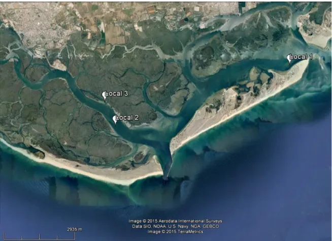 Figura 1: Três locais de amostragem na Ria Formosa (Local 1-Culatra, Local 2-Bóia e Local 3-Remanço do Canal de Faro)