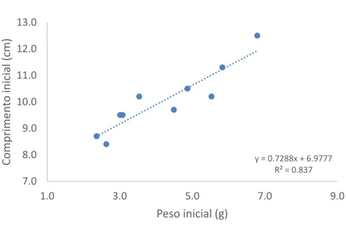 Figura 2:Relação entre o peso e o comprimento dos 10 cavalos-marinhos no primeiro dia de experiência