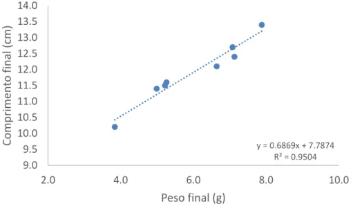 Figura 3:Relação entre o peso e o comprimento dos 10 cavalos-marinhos no último dia de experiência