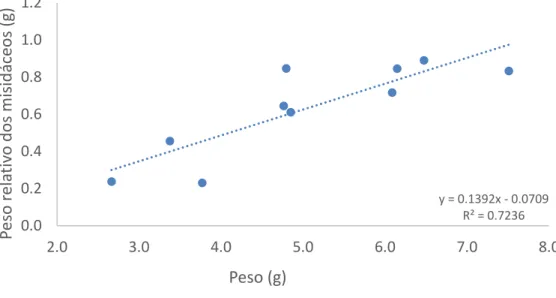 Figura 7: Relação entre o peso dos 10 cavalos-marinhos e o peso relativo dos misidáceos em gramas no final das 5 semanas de  experiência