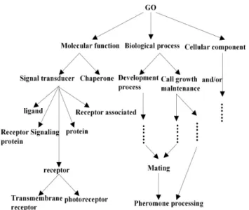 Fig. 5. “Physics Education” Ontology O 5 .