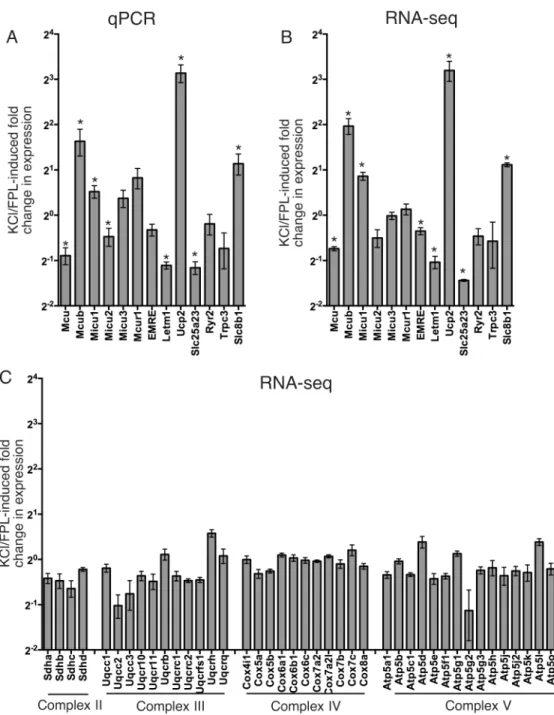 Fig 3. Ca 2+ influx into cortical neurons modifies the expression of many MCRGs. A) Neurons were treated ± KCl/FPL64176/MK-801 (see methods) for 24h, after which MCRG mRNA expression was analysed by qRT-PCR, normalised to Gapdh, and the % change relative t