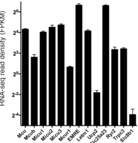 Fig 4. RNA-seq read density coverage of MCRGs in astrocyte-free cortical neurons. See methods for experimental details