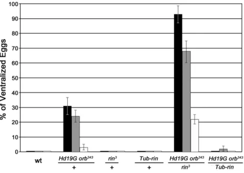 Figure 7. rin mothers produce ventralized or collapsed eggs.
