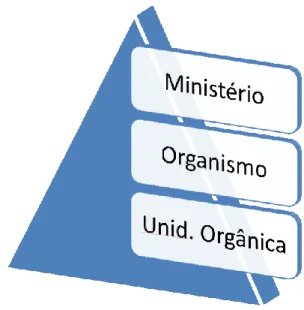 Figura 6 – Hierarquia da Estrutura Orgânica 