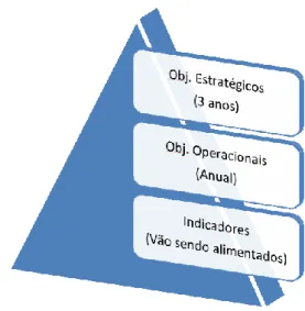 Figura 8 – Hierarquia dos Objetivos de um Organismo 