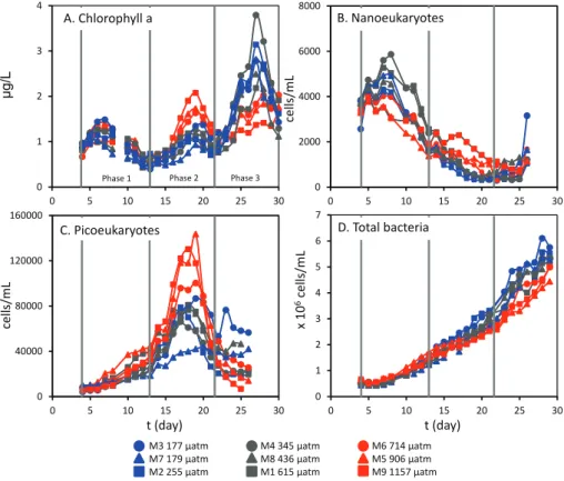 Fig. 1. Concentrations of chlorophyll a (µg L −1 ) (A), nanoeukaryote (B) and picoeukaryote abundances (C) (cells mL −1 ) and total bacteria (D) (× 10 6 cells mL − 1 ) over the course of the experiment