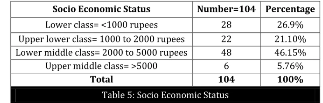 Table 5: Socio Economic Status 